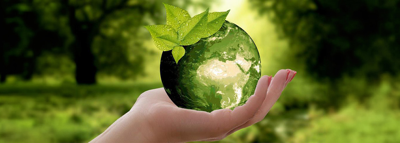 Serviplast article blog Transformer nos métiers pour rendre le monde plus durable